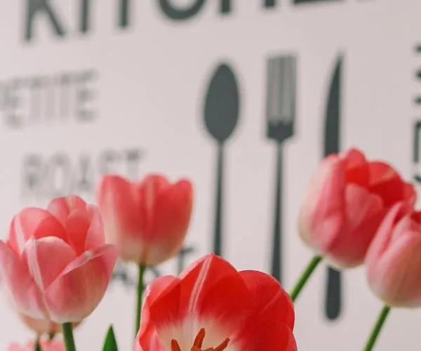 Vacanze Paola Lejlighed